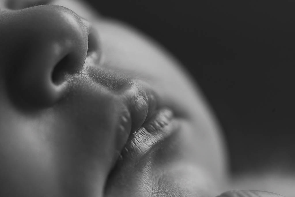 Fabrice Lowys Photographe Tournai 11 3