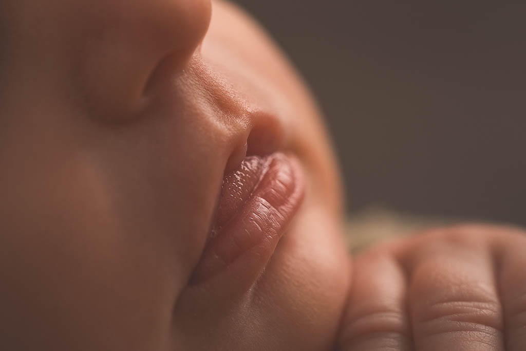 Fabrice Lowys Photographe Tournai 12 6