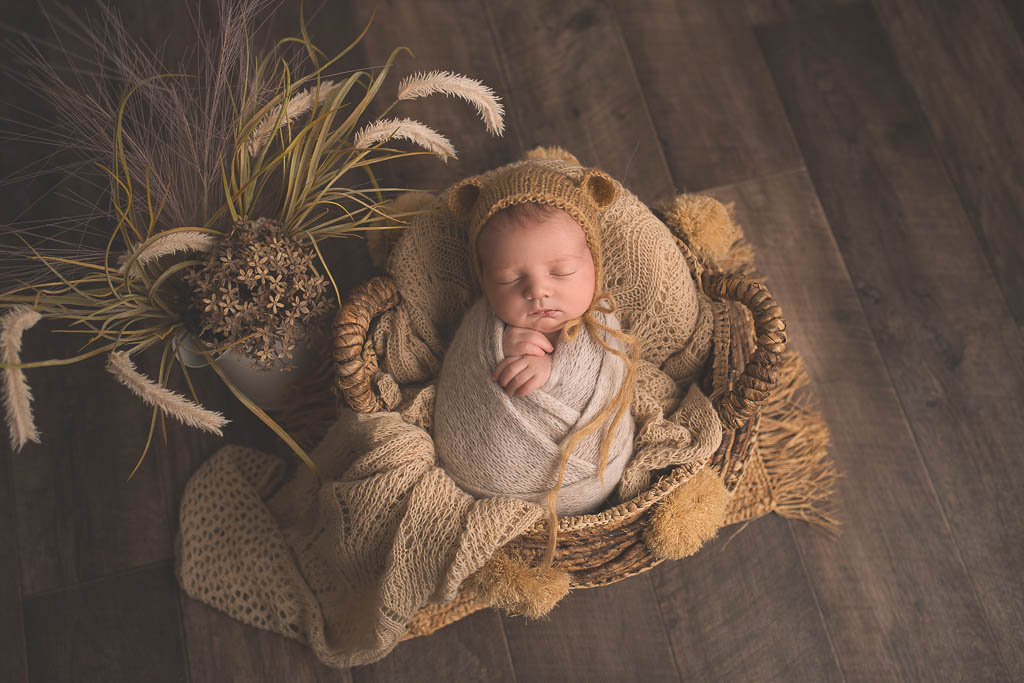 Fabrice Lowys Photographe Tournai 17 2 1