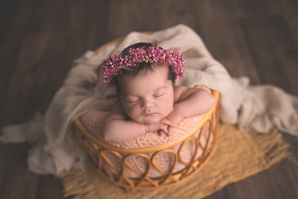 Fabrice Lowys Photographe Tournai 6 2 2