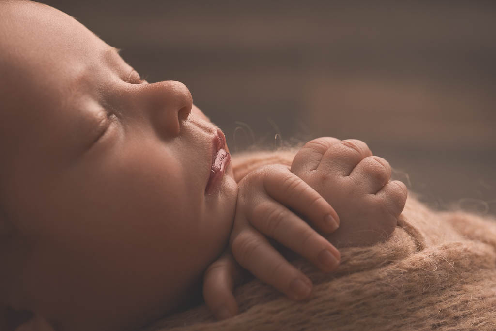 Fabrice Lowys Photographe Tournai 7 8